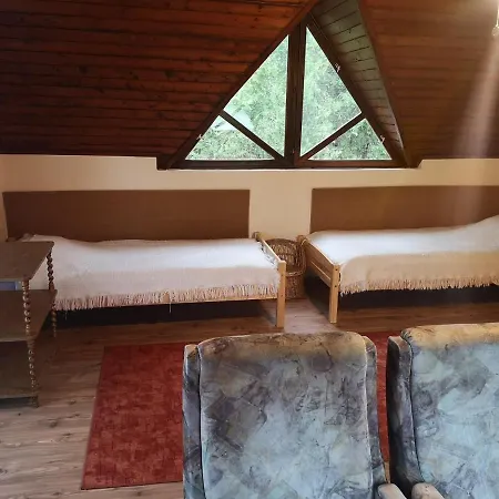 In 20073 Балатонсарсо