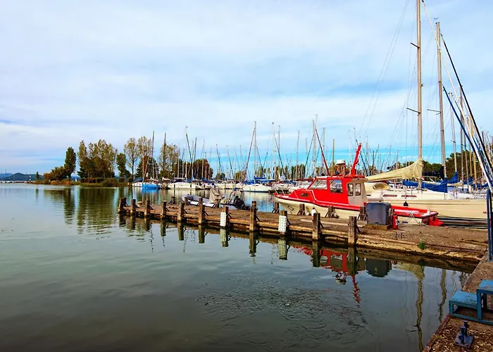 In 20073 Balatonszarszo